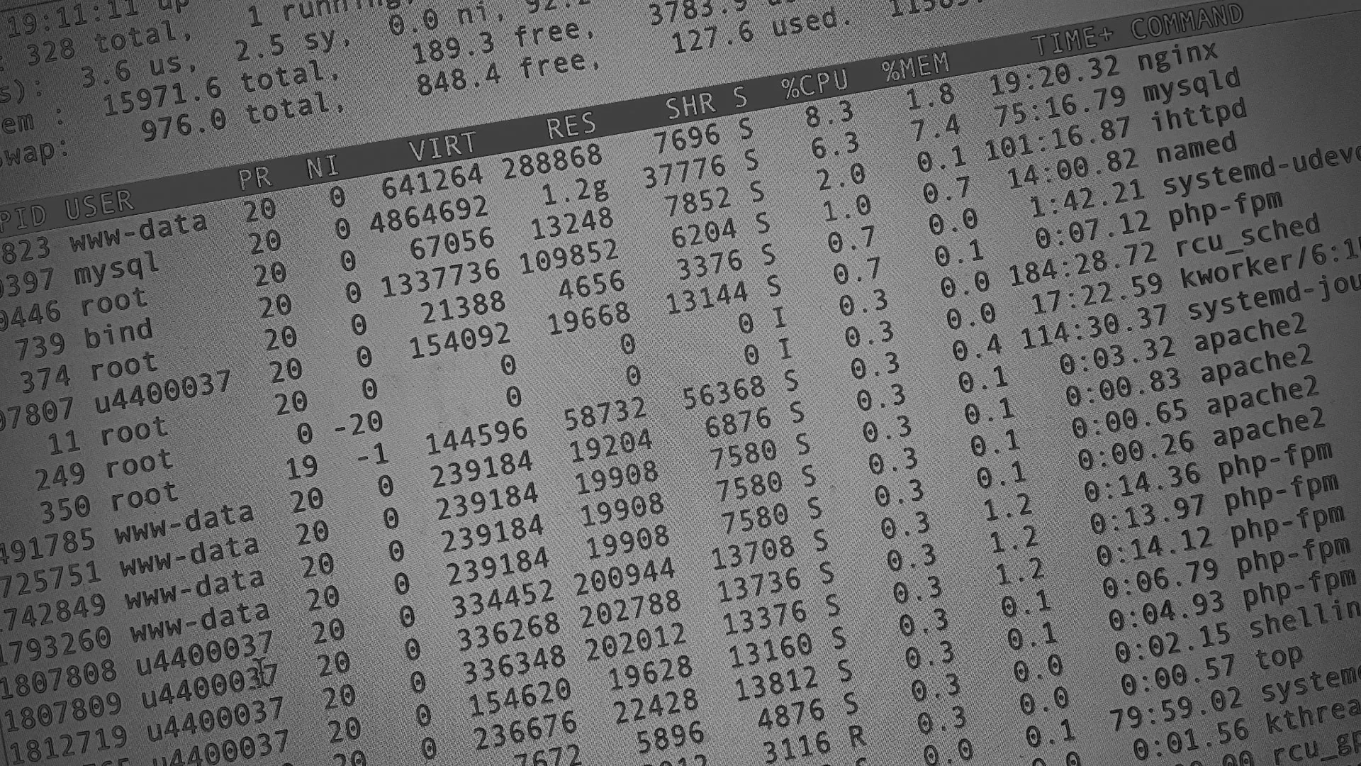 Настройка сервера в Полярных Зорях