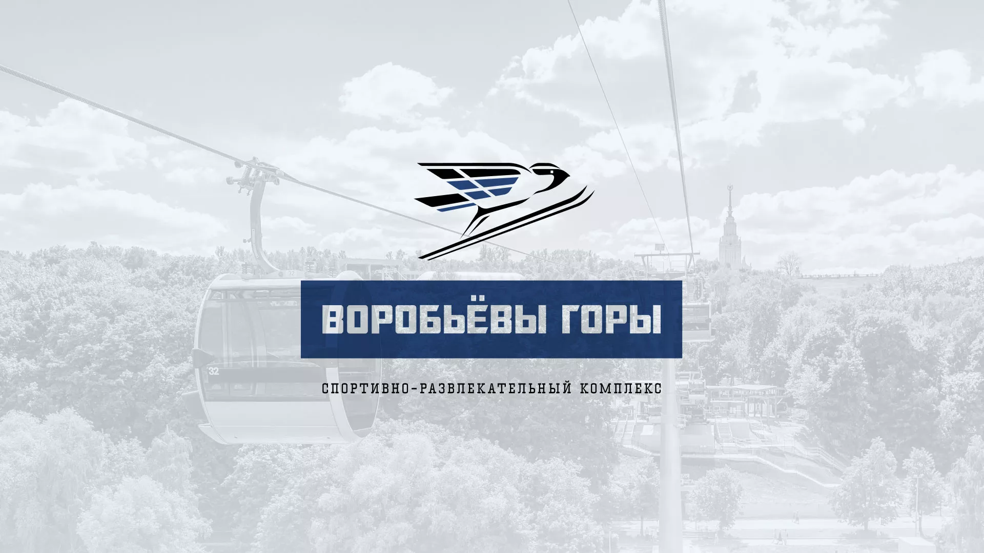 Разработка сайта в Полярных Зорях для спортивно-развлекательного комплекса «Воробьёвы горы»