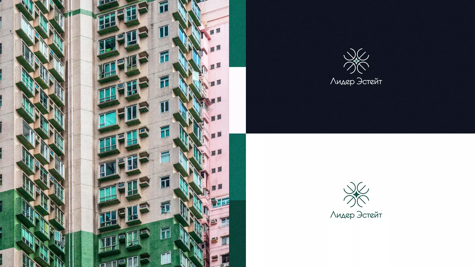 Создание логотипа компании «Лидер Эстейт» в Полярных Зорях