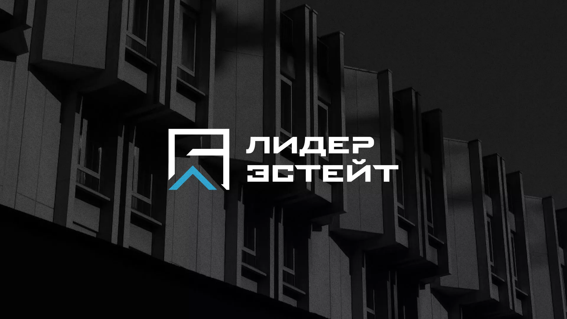 Разработка логотипа агентства недвижимости «Лидер Эстейт» в Полярных Зорях